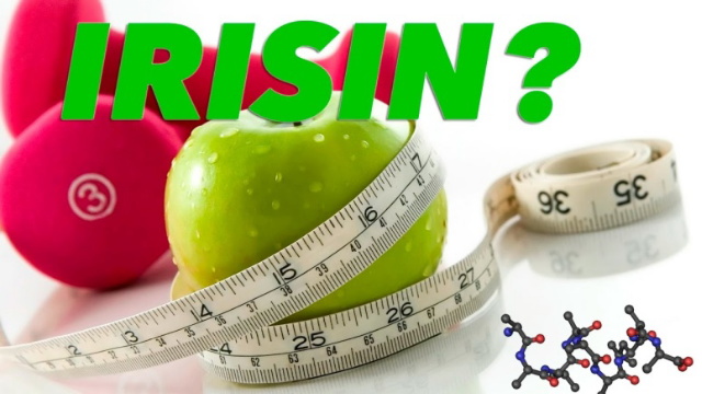 Irizin
