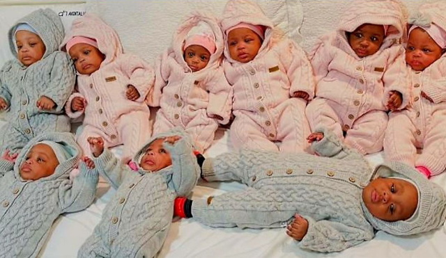 nonuplet (kilences ikrek) nonuplet (kilences ikrek)