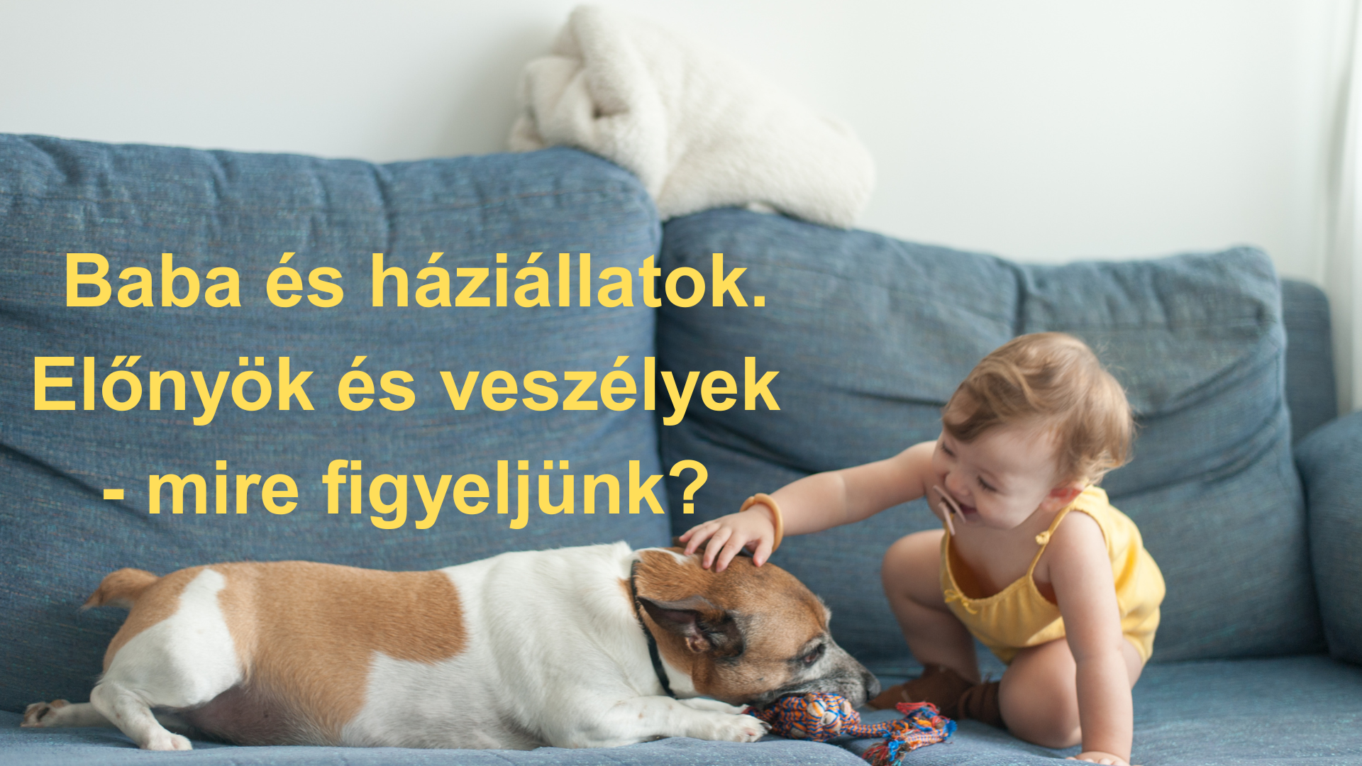 H�zi�llatok �s a baba: �r�m�k �s vesz�lyek