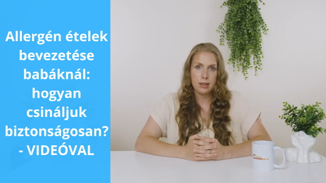 Allergn telek bevezetse babknl