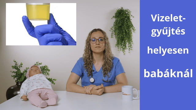 vizeletgyűjtés csecsemőknél és tipegőknél vizeletgyűjtés csecsemőknél és tipegőknél