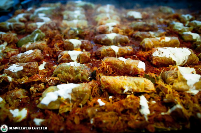 kar�csonyi neh�z �telek