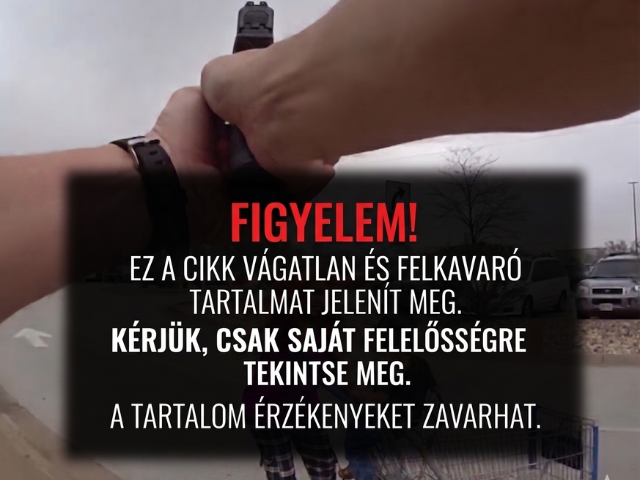 F�nyes nappal rabolt�k el a hipermarketb�l �s k�selt�k meg a 3 �ves kisfi�t – a rend�r�k az utols� pillanatban �rtek oda