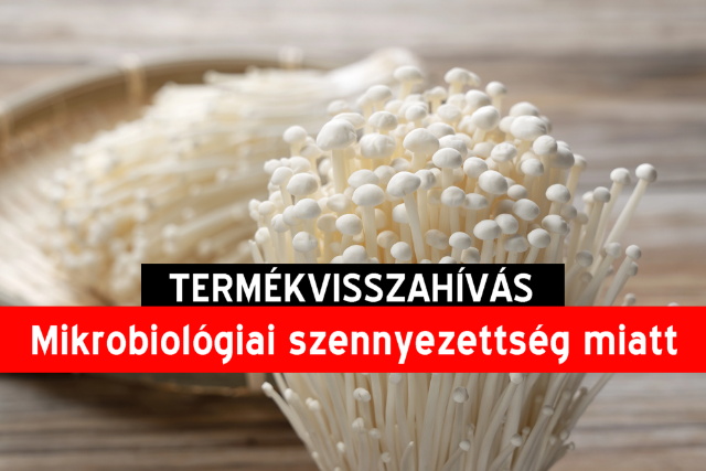 Term�kvisszah�v�s: Enoki gomba