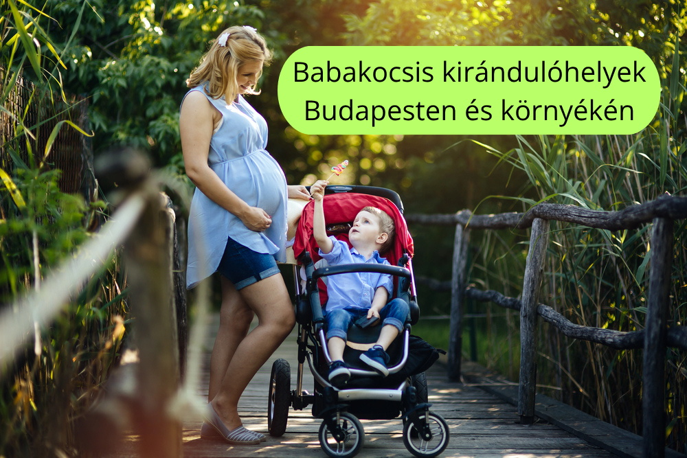 Terhes anyuka babakocsival, gyerekkel kir�ndul