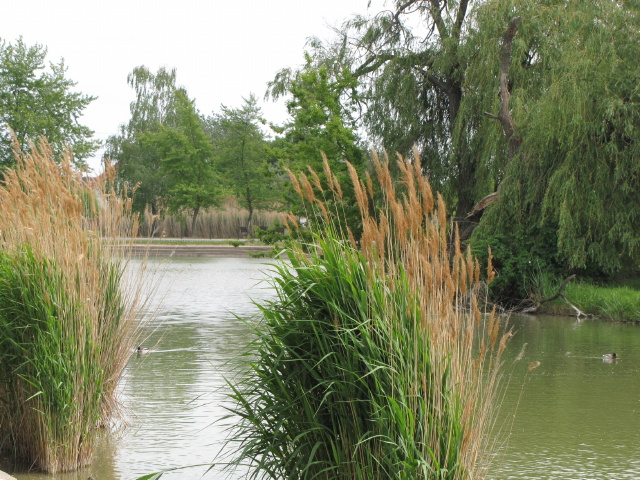 Magzatk�ros�t� old�szert tal�ltak a kom�romi ipari park v�zt�roz�j�ban