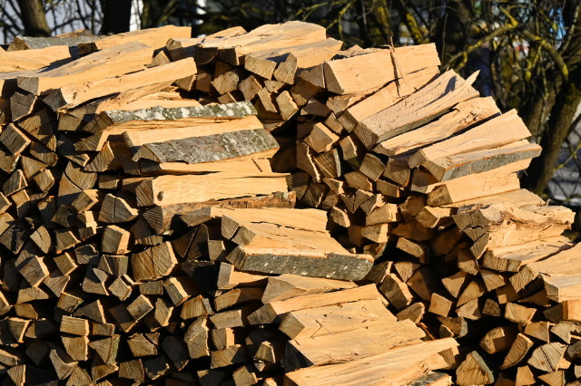 Olcs�bb lehet a t�zifa �sszel