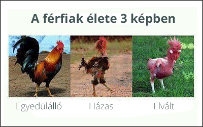 női egyedülálló házas elvált)