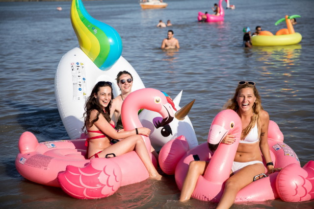 EFOTT 2019 - Rózsaszín flamingó