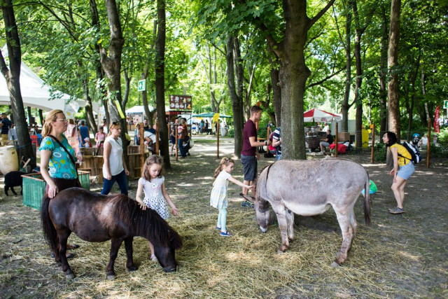 Generali Gyerek Sziget 2019 - Állatsimogató