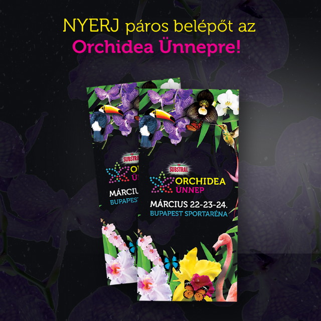 Orchidea Ünnep 2019 - Nyerj páros belépőt!