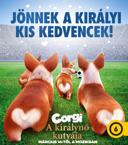 Corgi - A királynő kutyája