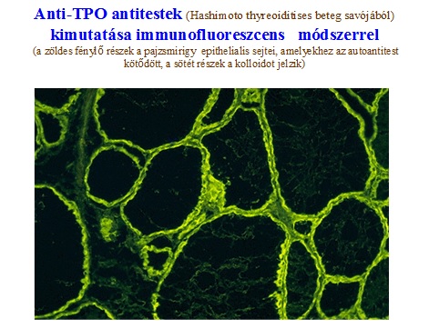 anti tpo alacsony érték k