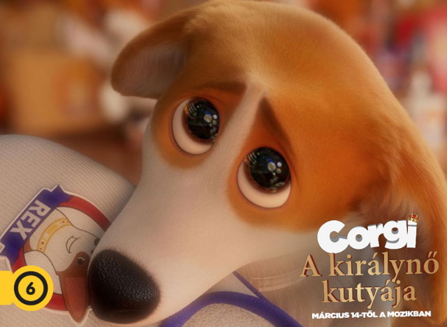 Corgi - A királynő kutyája