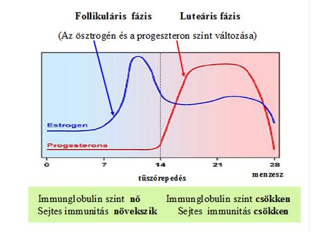 1. bra