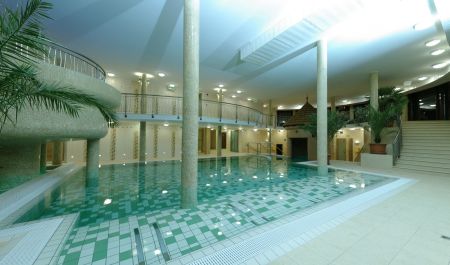 Wellness
