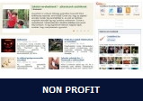 Az év honlapja non profit kategória