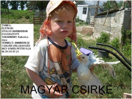 magyarcsirke