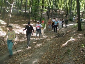 Nordic walking - túrázás szép 
tájakon