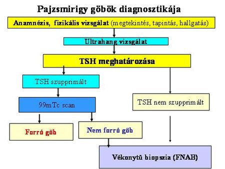 pajzsmirigy_gob_diagnosztika