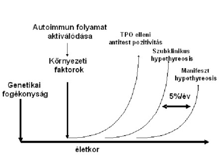 Pajzsmirigy TPO elleni antitest pozitivits