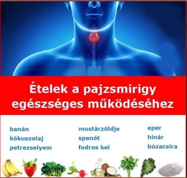 pajzsmirigy diéta