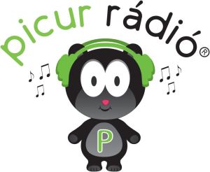 picur_radio