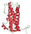 Prolaktin molekula felépítése (vázlatosan)