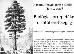 biológia korrepetálás, versenyfelkészítés