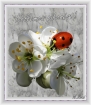 /gallery/community/pictures/thumbs/7506www_tvn_hu_bf2d3df68e1150ca472d093ba549adfa_w140_h105.jpg