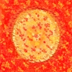 /gallery/community/pictures/thumbs/8017m2_w140_h105.gif