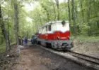 ÚJ MEGÁLLÓHELY A GYERMEKVASÚTON: VADASPARK