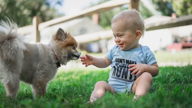 A kutya kltzik, ha jn a gyerek, ugye?