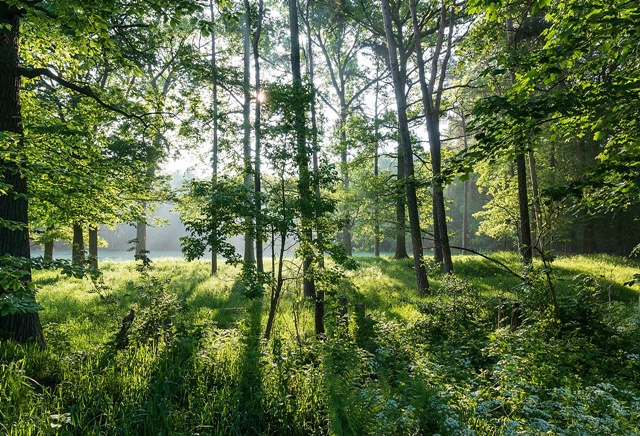 14 szuper, hsvti kirndulstipp gyerekekkel