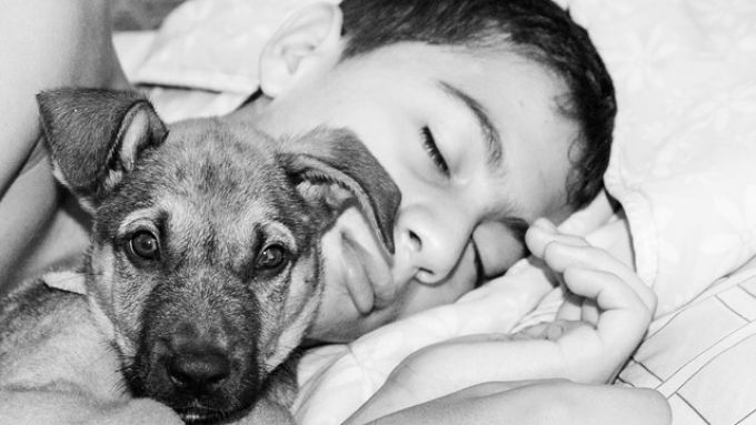 Jó ötlet, ha a kutya a gyerekkel alszik?