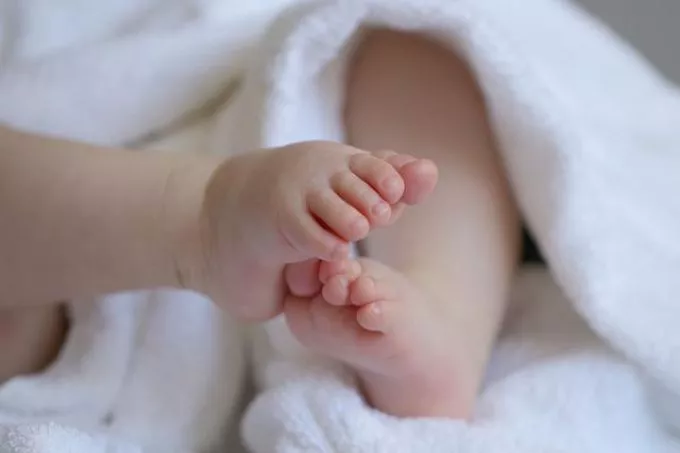 Ezek a leggyakoribb magyar vezetéknevek - a Nagyok még mindig vezetnek, de fogynak a Takácsok Ezek a leggyakoribb magyar vezetéknevek - a Nagyok még mindig vezetnek, de fogynak a Takácsok