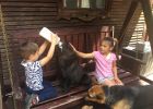 "A gyerekek már ebbe születtek bele!" - Dóriék farkasokkal és medvékkel élnek együtt