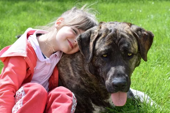 4 hatalmas előnye annak, ha háziállat mellett nő fel a gyerek 4 hatalmas előnye annak, ha háziállat mellett nő fel a gyerek