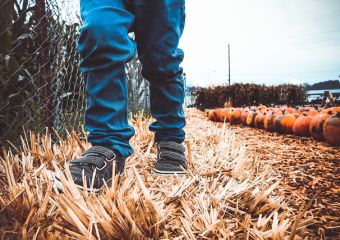 Hazafelé menet tűnt el az ovis kisfiú, édesanyja csak egy pillanatig nem figyelt rá