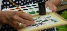 Decemberi programok a Botanikus Kertben Decemberi programok a Botanikus Kertben