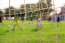 Rádőlt egy focikapu - súlyosan megsérült egy gyermek a zánkai Erzsébet-táborban