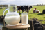 Magas aflatoxin-szennyezés kockázat - kiemelt hatósági és vállalkozói figyelem indokolt a takarmányoknál, tej és tejtermékeknél