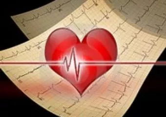 Harc a szívinfarktus ellen - Szórakozva az egészségről a Népligetben!