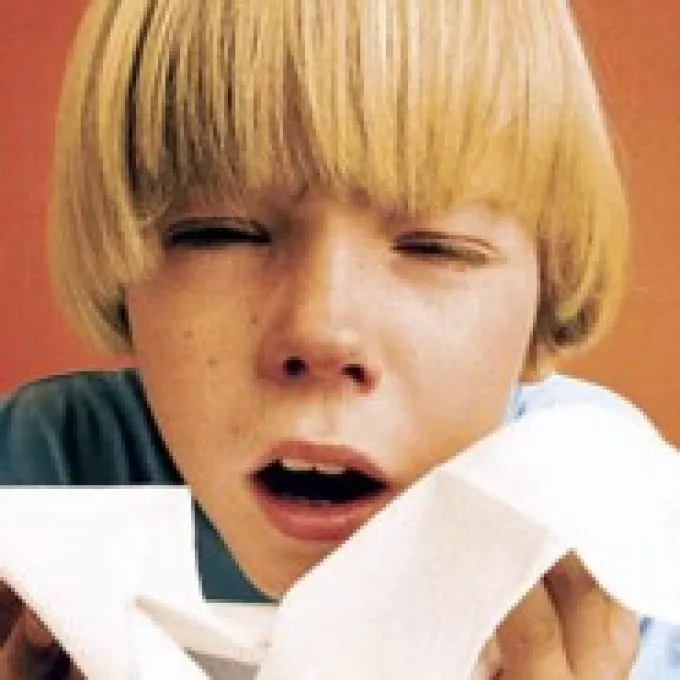 A gyermekkori szénanátha tünetei