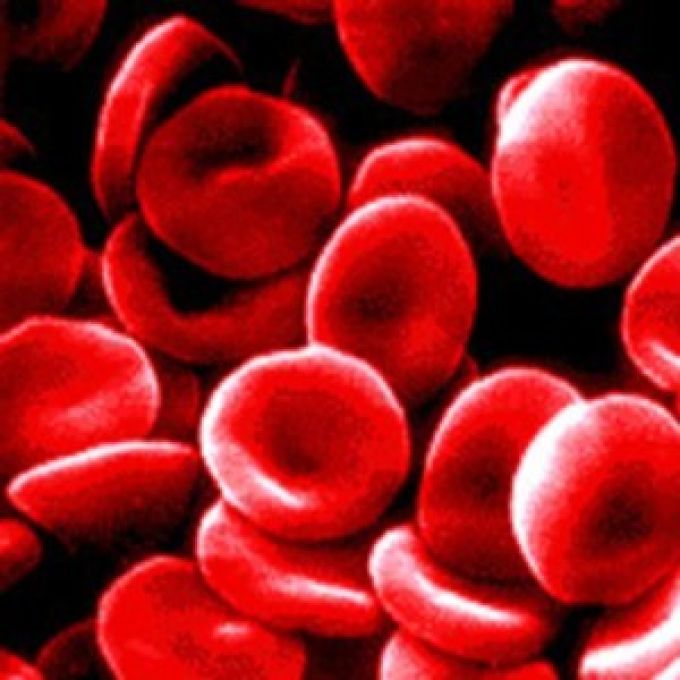 Új korszak a pitvarfibrillációban szenvedő betegek számára Új korszak a pitvarfibrillációban szenvedő betegek számára