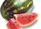 Gyógyító gyümölcsök a Napsugár Életház kertjéből: a görögdinnye