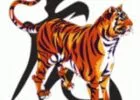 Kínai horoszkóp: Tigris