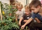 Zöldségeskert és fűszerspirál a bécsi óvodákban