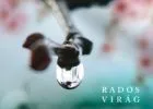 Rados Virág: A visszakapott élet