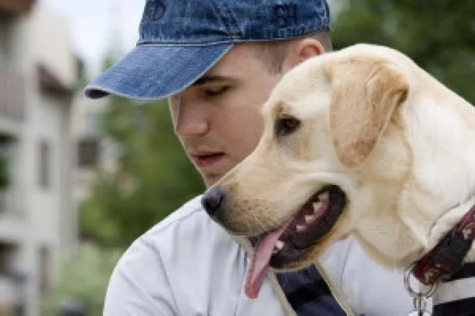 Segítség a mindennapokban: hello holnap! adományvonal a vakvezető kutyák képzéséért